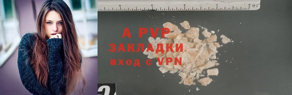 гашик Ладушкин