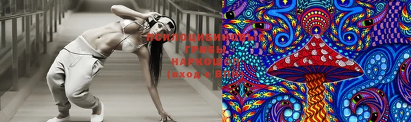 гашик Ладушкин