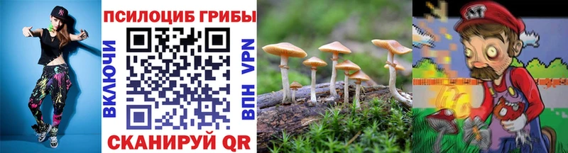 Галлюциногенные грибы Psilocybine cubensis  Купить где  Новодвинск 