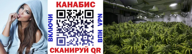 Купить где  Новодвинск  МАРИХУАНА LSD WEED 